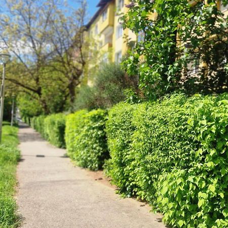 University Apartment Baia Mare Bagian luar foto