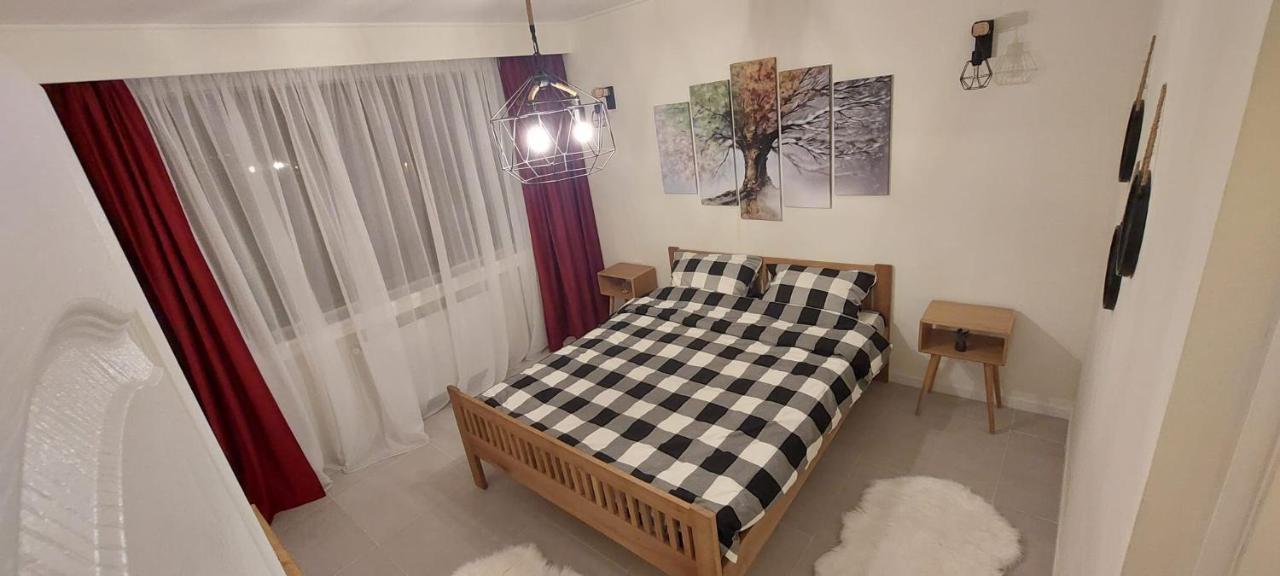 University Apartment Baia Mare Bagian luar foto