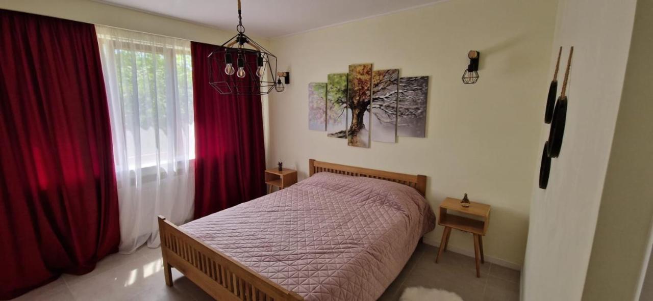 University Apartment Baia Mare Bagian luar foto