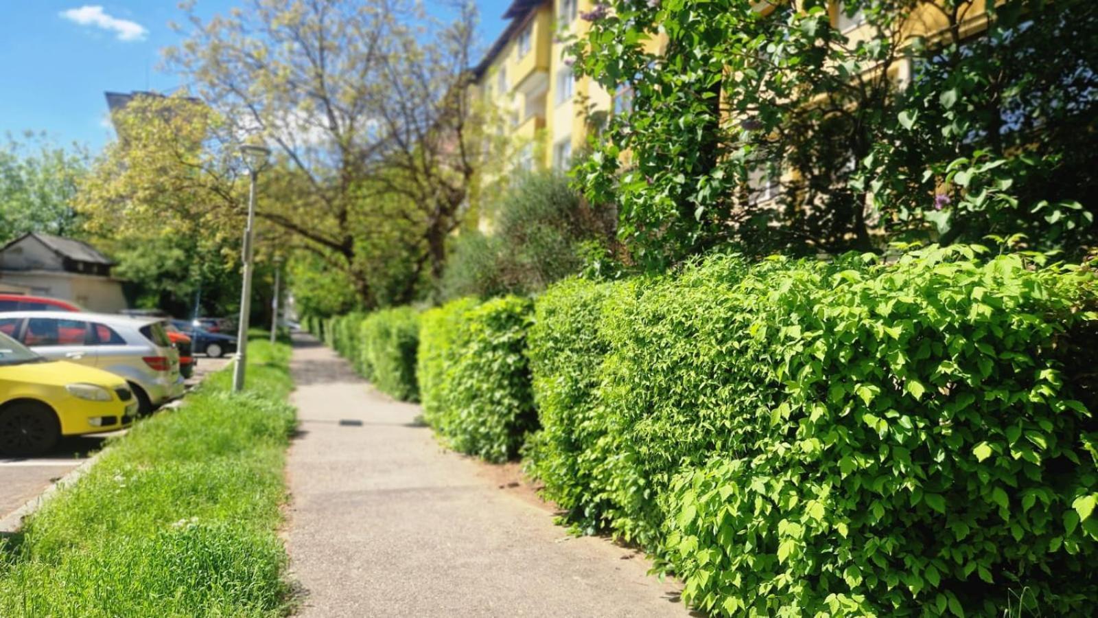University Apartment Baia Mare Bagian luar foto